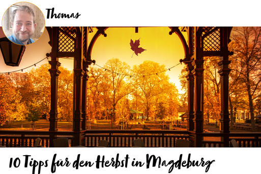 10 Tipps fr den Herbst in Magdeburg AdobeStock@Andrea Schwingel.jpg